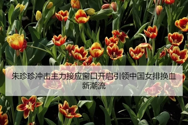 朱珍珍冲击主力接应窗口开启引领中国女排换血新潮流