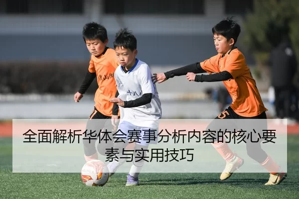 quan-mian-jie-xi-hua-ti-hui-sai-shi-fen-xi-nei-rong-de-he-xin-yao-su-yu-shi-yong-ji-qiao-2-852.jpg