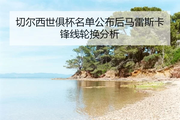 qie-er-xi-shi-ju-bei-ming-dan-gong-bu-hou-ma-lei-si-ka-feng-xian-lun-huan-fen-xi-2-550.jpg