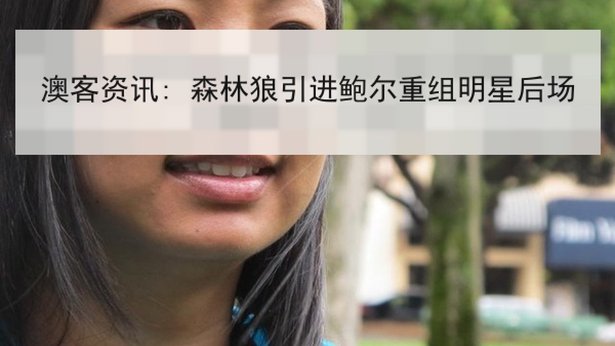 澳客资讯: 森林狼引进鲍尔重组明星后场 澳客资讯: 森林狼引进鲍尔重组明星后场