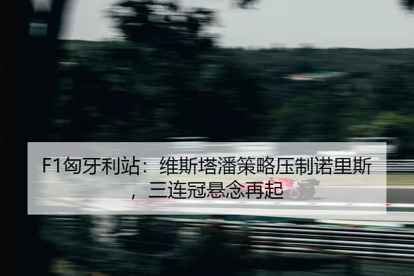 xiong-ya-li-zhan-wei-si-ta-pan-ce-lve-ya-zhi-nuo-li-si-san-lian-guan-xuan-nian-zai-qi-2-478.jpg