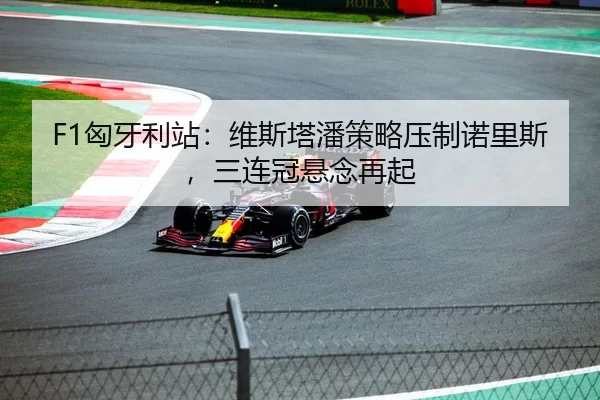 F1匈牙利站：维斯塔潘策略压制诺里斯，三连冠悬念再起