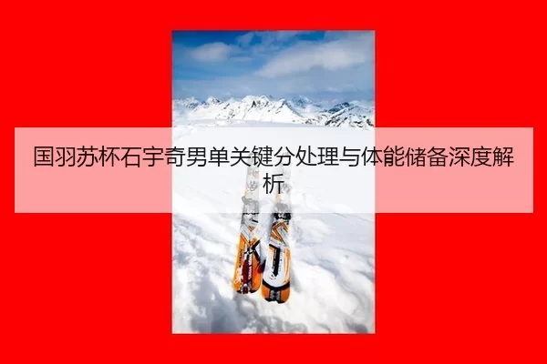 guo-yu-su-bei-shi-yu-qi-nan-dan-guan-jian-fen-chu-li-yu-ti-neng-chu-bei-shen-du-jie-xi-2-556.jpg