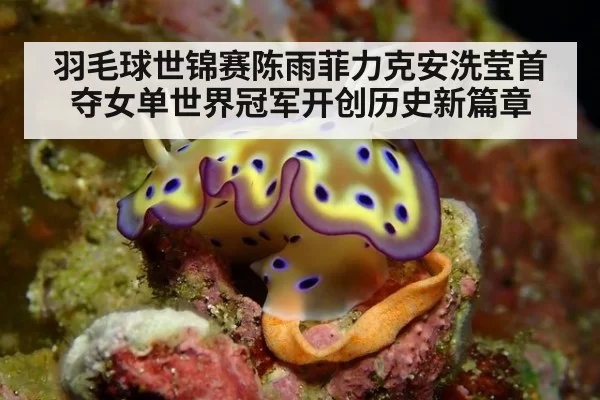 羽毛球世锦赛陈雨菲力克安洗莹首夺女单世界冠军开创历史新篇章
